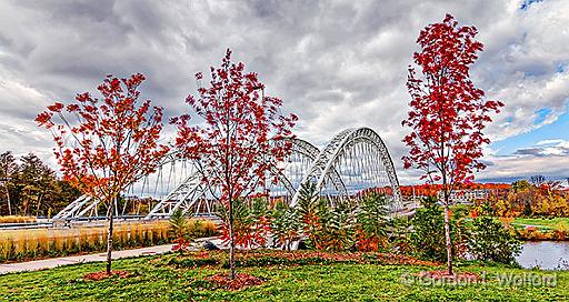 Vimy Memorial Bridge_46095-7.jpg - Photographed along the Rideau Canal Waterway at Ottawa, Ontario, Canada.